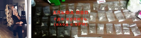 скорость Бородино