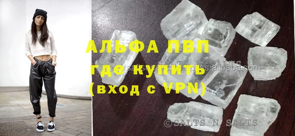 СК Бронницы