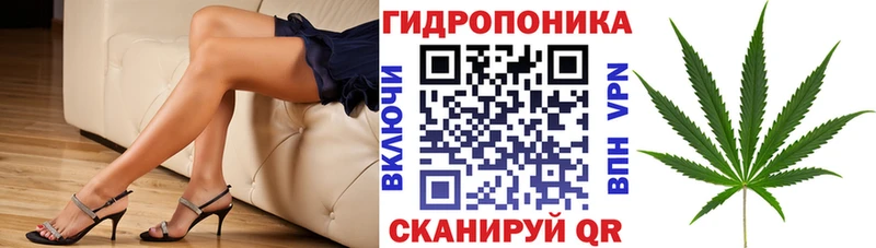 Конопля семена  Владикавказ 